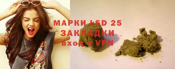ПСИЛОЦИБИНОВЫЕ ГРИБЫ Козловка