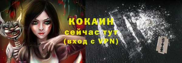ПСИЛОЦИБИНОВЫЕ ГРИБЫ Козловка
