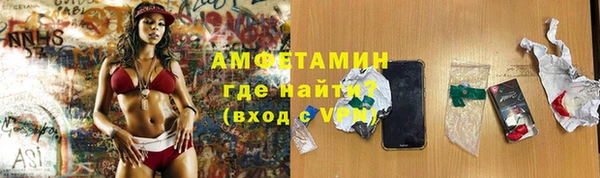 ПСИЛОЦИБИНОВЫЕ ГРИБЫ Козловка