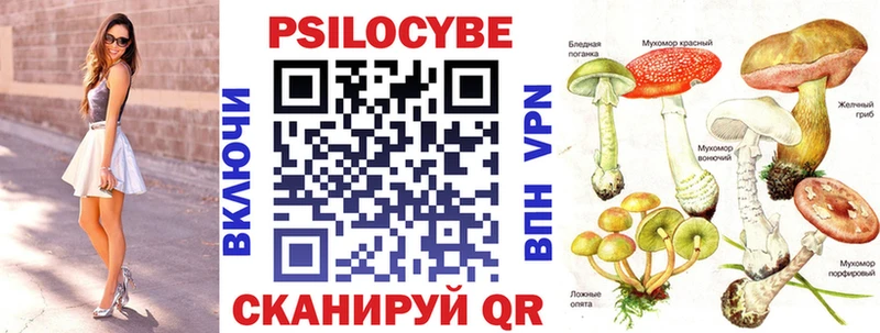 Купить где  Заводоуковск  Галлюциногенные грибы мухоморы 