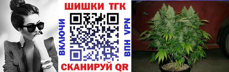 Купить закладки  Заводоуковск  Бошки марихуана SATIVA & INDICA 
